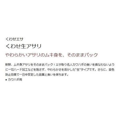 くわせ生アサリ ムキ身 マルキュー