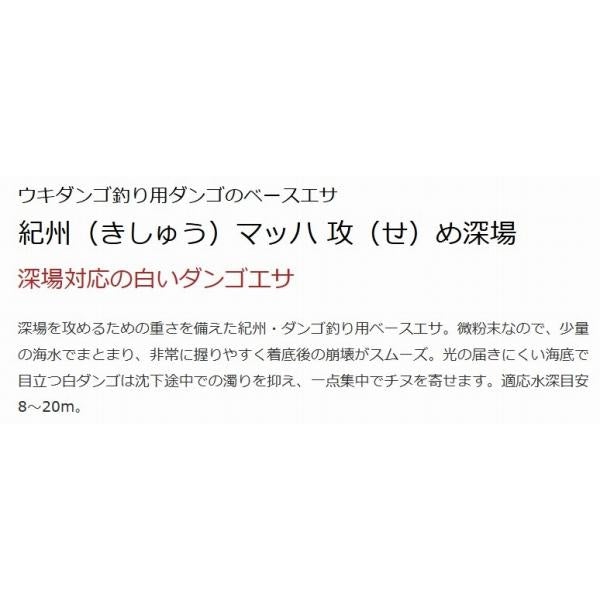 紀州マッハ攻め深場 マルキュー継続SALEB