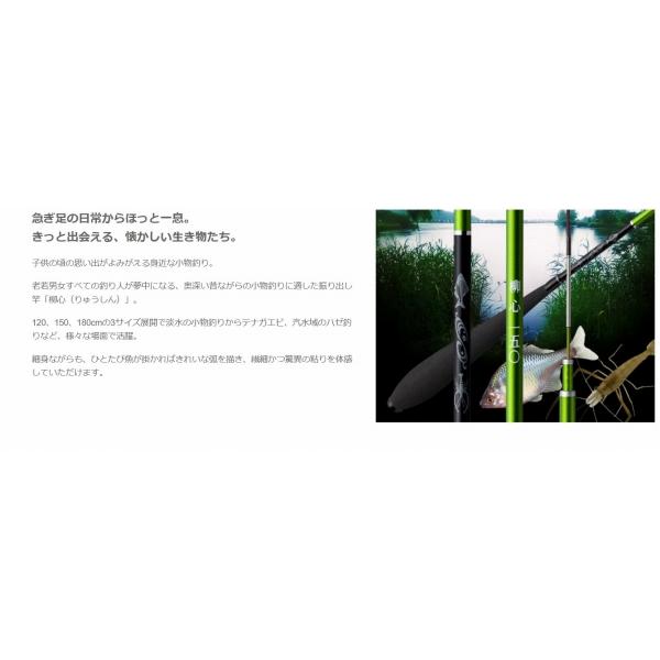 柳心 180 からし GM