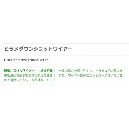 ヒラメダウンショットワイヤー 1.6インチ NTスイベル 釣り人応援セール