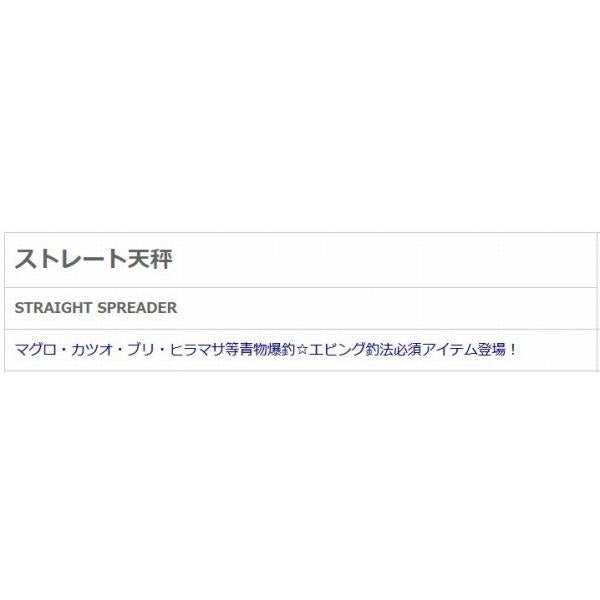 ストレートテンビン50ｃm NTスイベル
