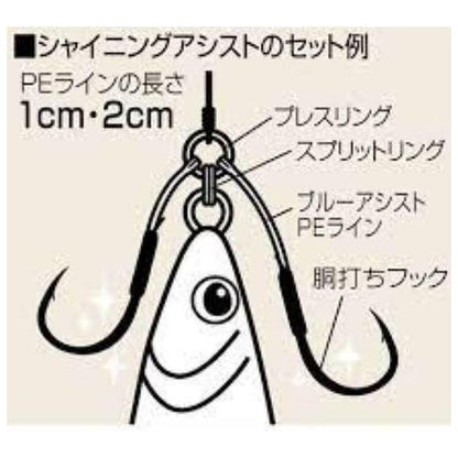 シャイニングアシスト L シャウト