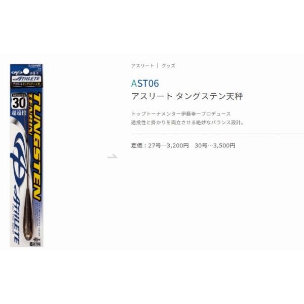 アスリートタングステン天秤30号 AST06 ささめ