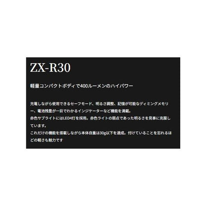 ZX-R30 LEDヘッドライト 富士灯器
