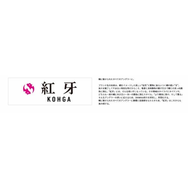 紅牙 タイラバケース ダイワ
