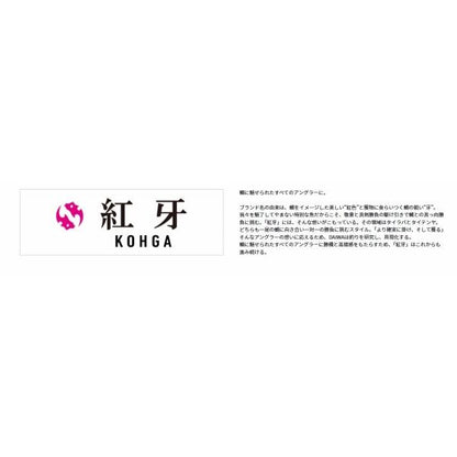 紅牙 タイラバケース ダイワ