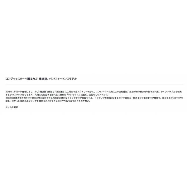 17 クロスキャスト 5500 ダイワ
