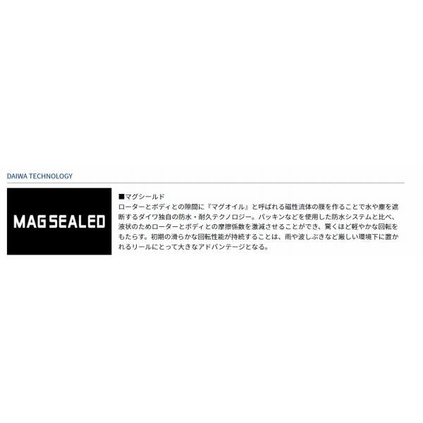 17WINDCAST 4000 ダイワ
