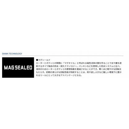17WINDCAST 4000 ダイワ
