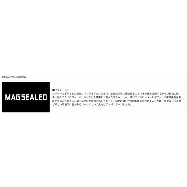 17WINDCAST 4500 ダイワ