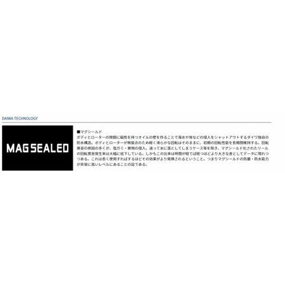 17WINDSURF35 細糸 ダイワ