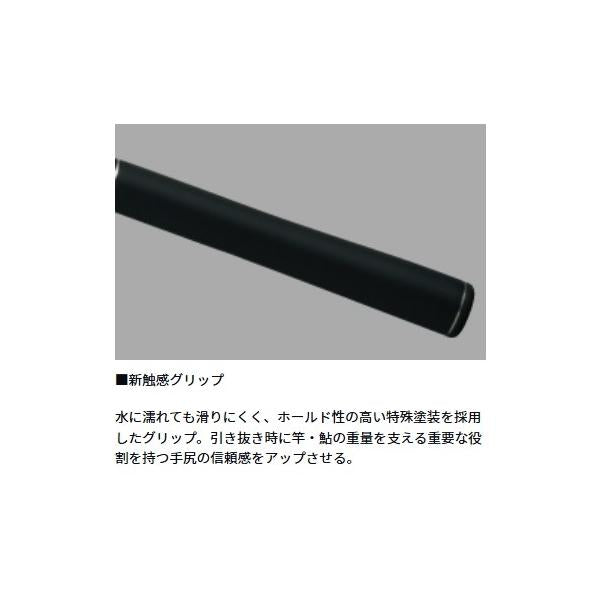 ライトコロガシ Ｈ81Ｍ ダイワ 秋の大感謝祭
