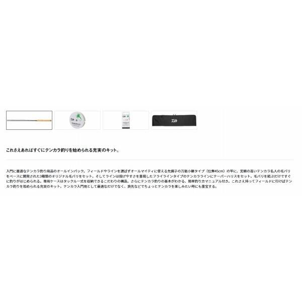 テンカラ キット 33 ダイワ