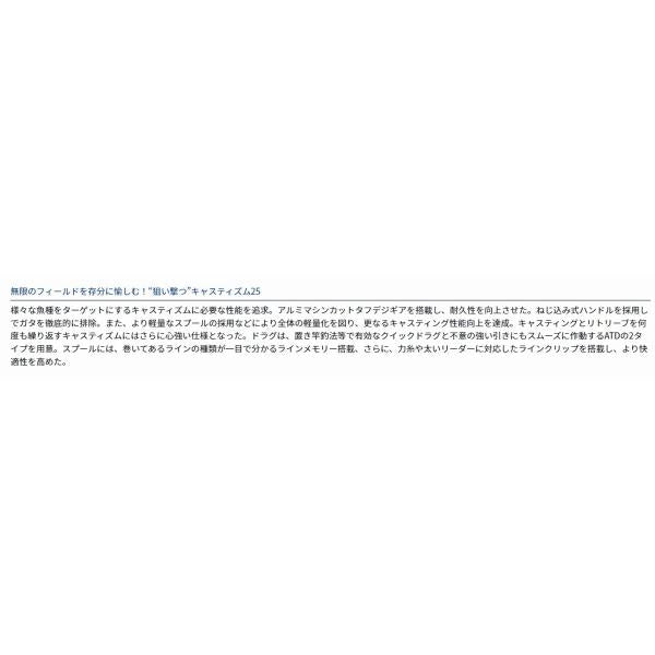 19キャスティズム25 15PE ダイワ