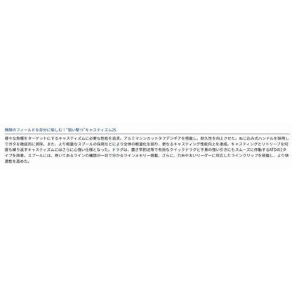 19キャスティズム25 15PE ダイワ