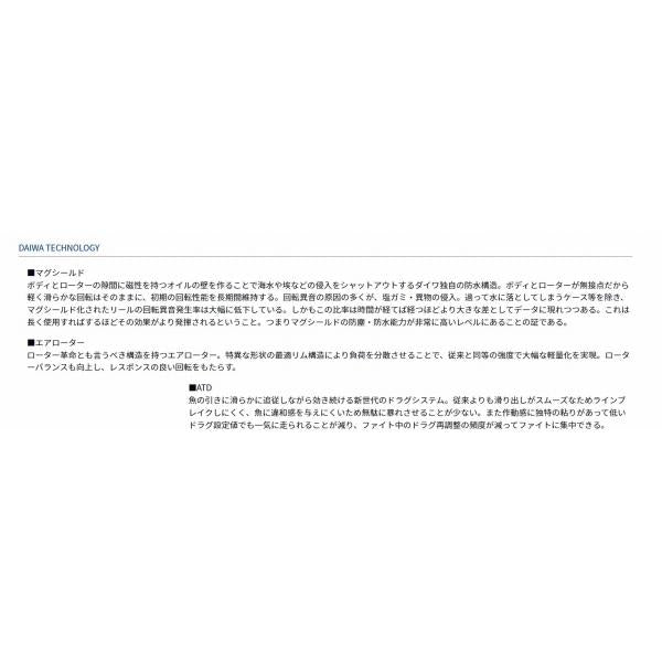 19キャスティズム25 15PE ダイワ