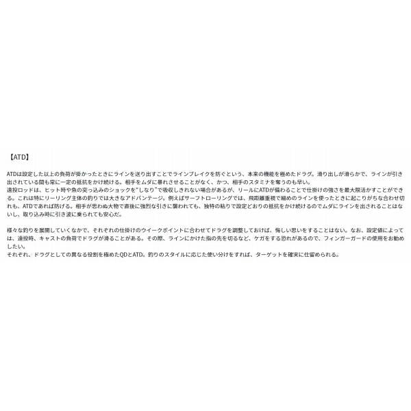 19キャスティズム25 15PE ダイワ