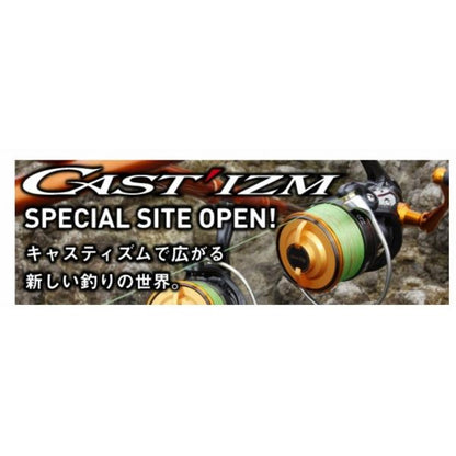 19キャスティズム25 15PE ダイワ