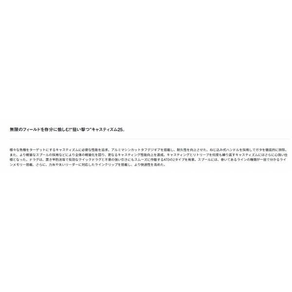 19キャスティズム25 QD ダイワ 秋の大感謝祭