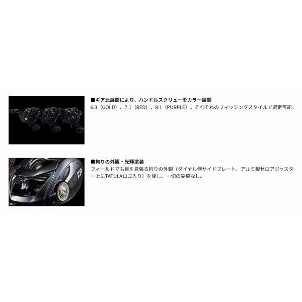 20タトゥーラTATULA SVTW 103SH ダイワ