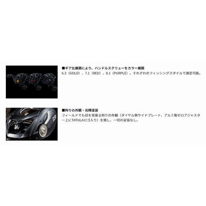 20タトゥーラTATULA SVTW 103SH ダイワ