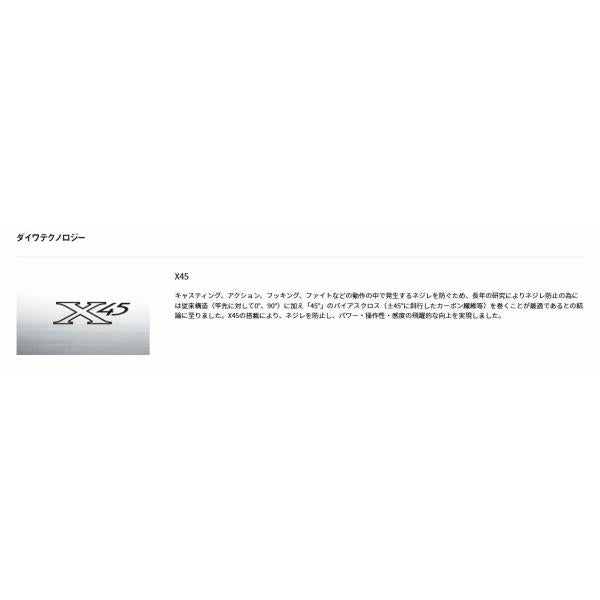 キャスティズム　25－385・Ｒ ダイワ