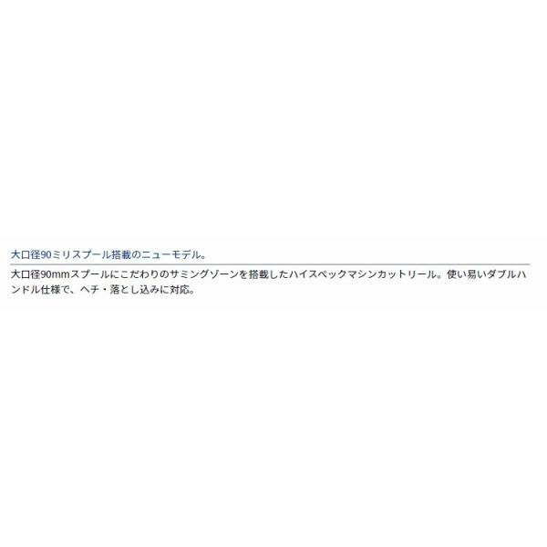 19チヌマスター90 ダイワ