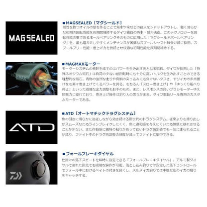 21シーボーグ 300J ダイワ