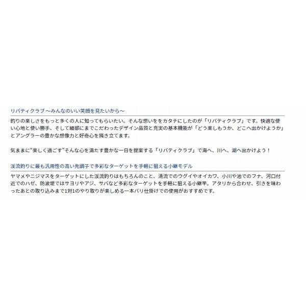 LBT C 万能小継 硬調53 Q ダイワ 秋の大感謝祭