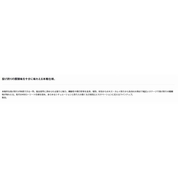 プライムサーフT 30-425・W ダイワ