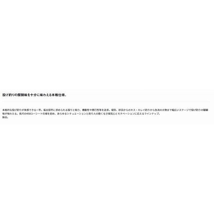 プライムサーフT 30-425・W ダイワ
