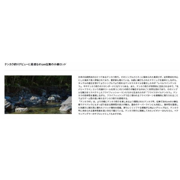 テンカラＲＴ 36 ダイワ