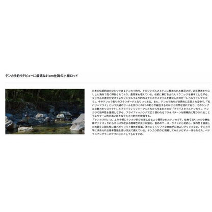 テンカラＲＴ 36 ダイワ