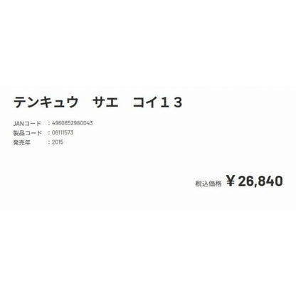 天弓 冴 鯉 13 ダイワ