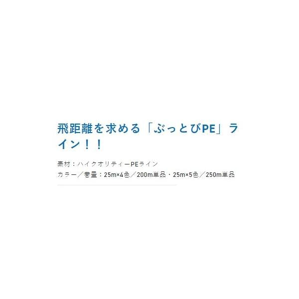 PEナゲ 250M 0.6号 サンライン限定セール