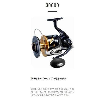 20ステラSW 30000 シマノ