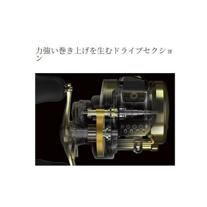 21 カルカッタコンクエスト 100HG シマノ 秋の大感謝祭