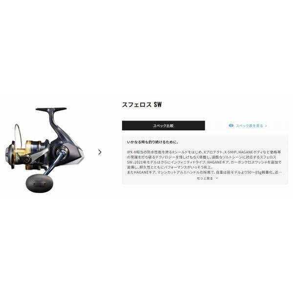 21 スフェロス SW 6000PG シマノ