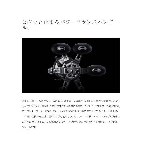 23 スピードマスター石鯛 3000T シマノ