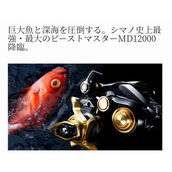 22 ビーストマスター MD12000 シマノ