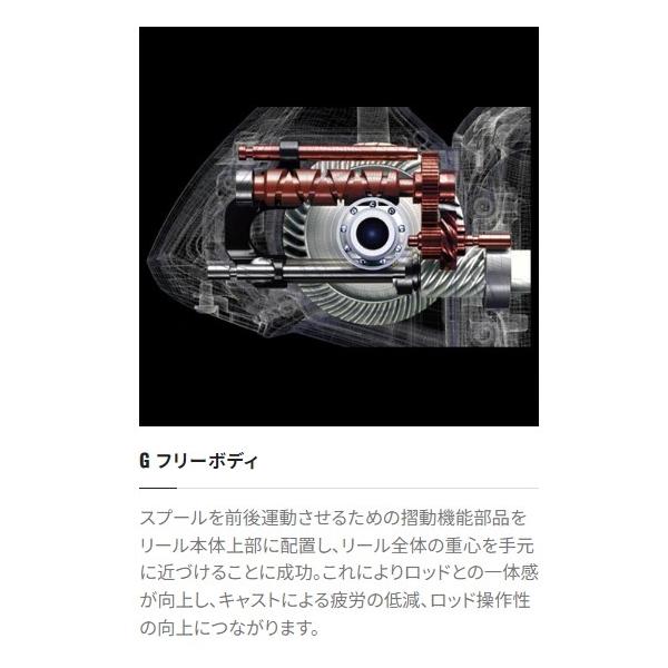 22 サハラ C3000DH シマノ