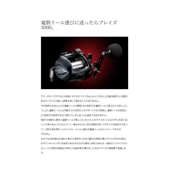 24プレイズ 3000 シマノ