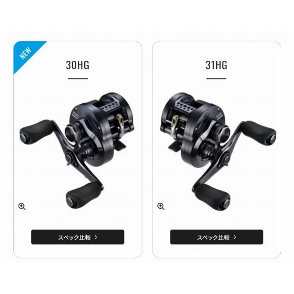 24 カルカッタコンクエスト シャローエディション 31HG シマノ