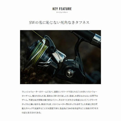 24ストラディック SW 4000HG シマノ