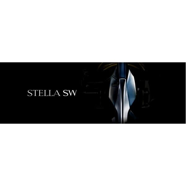 25 ステラＳＷ 8000PG シマノ