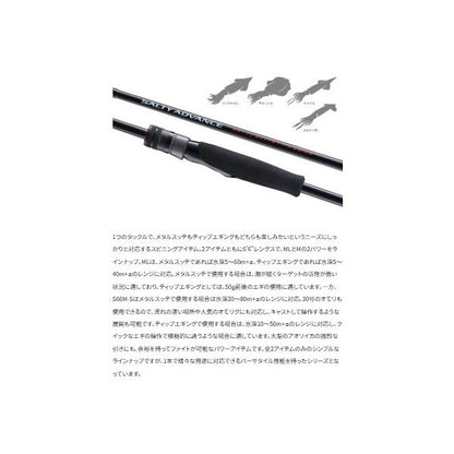 25ソルティーアドバンス  メタルスッテ B66ML-S シマノ 秋の大感謝祭