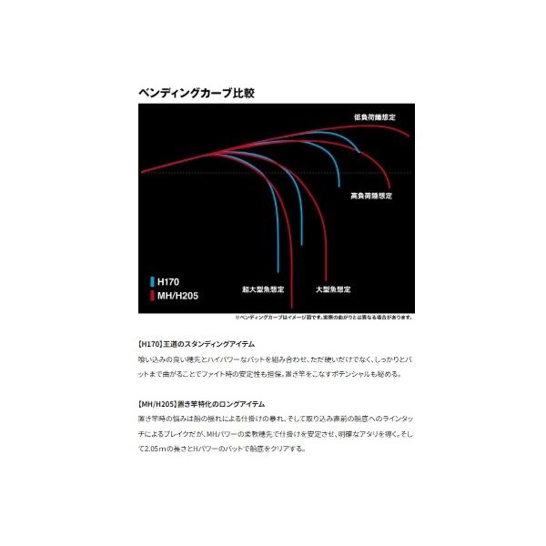 26ビーストマスター泳がせ H170 シマノ