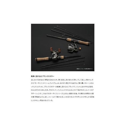 カーディフST P S54SUL シマノ 秋の大感謝祭
