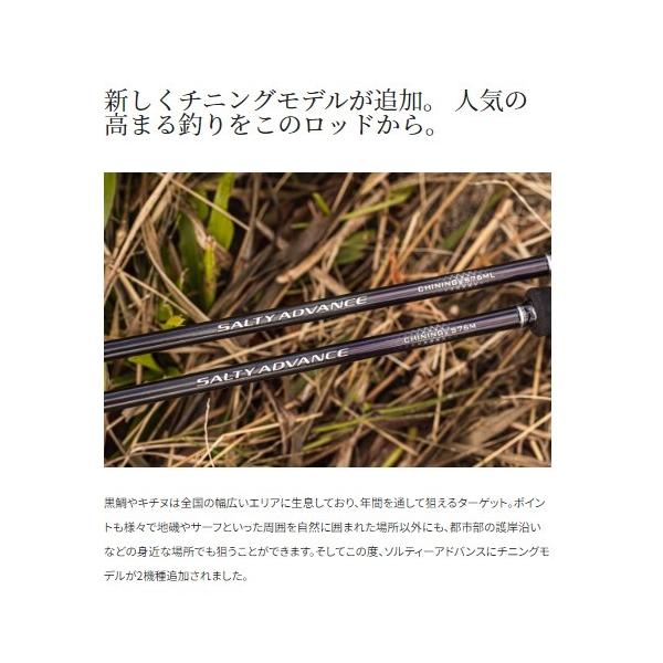 19 ソルティーアドバンス チニングS 76ML シマノ