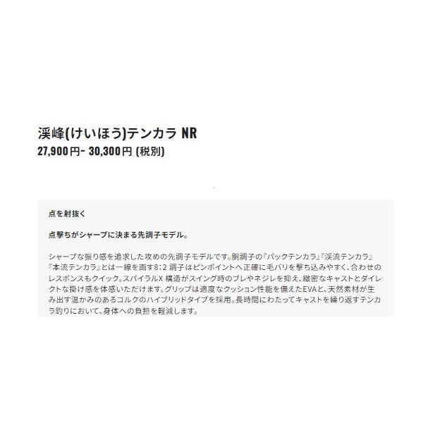 渓峰テンカラ 33NR シマノ